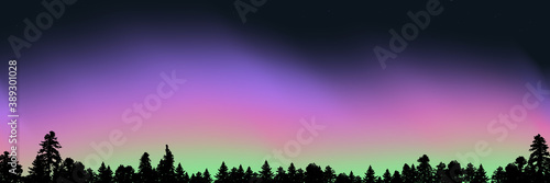 Polar lights (Aurora borealis) in the sky without clouds over the forest. Silhouette of the forest against the background of the northern lights in three colors. Horizontal banner, illustration.