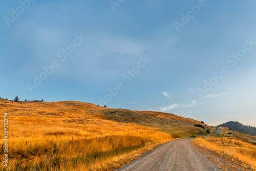 Country  dirt road leading forward  yellow steppe grass along the edges of the road  hills and individual trees ahead.
