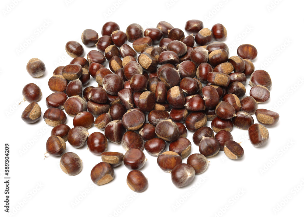Obraz premium chestnut on a white background