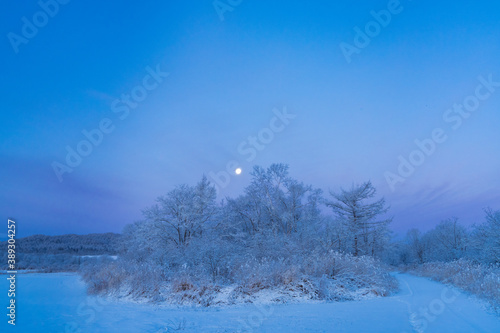 winter landscape with trees and snow in hokkaido