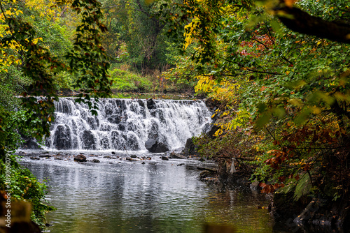 Scenic Landscape with a Small Waterfall and Autumn Leaves