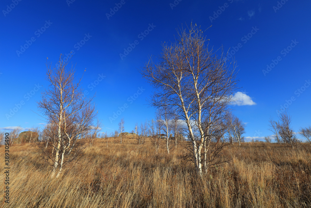 Landscape of ashhatu Stone Forest in Keshiketeng World Geopark, Inner Mongolia Landscape of ashhatu Stone Forest in Keshiketeng World Geopark, Inner Mongolia