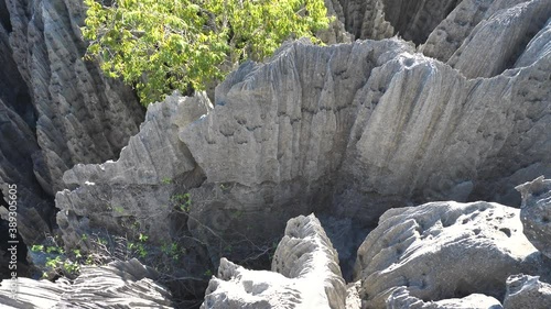 Upward Pan of Ravine Ending in Unique Limestone Peaks, Tsingy, Madagascar