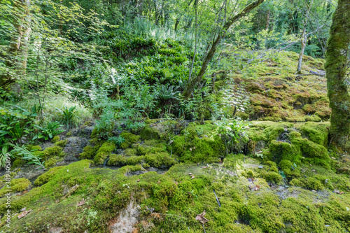 Hiking track of the Pertes de L Ain  Losses of the Ain  Jura