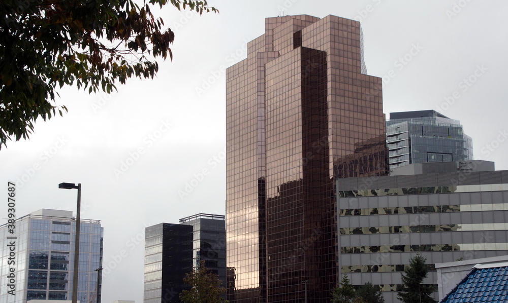 Fototapeta premium Trees and skyscrapers in downtown of Bellevue