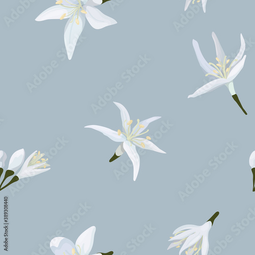 Vector illustration of seamless pattern of delicate buds of coffee flowers on a blue background. Packaging design, dress fabric, or wrap