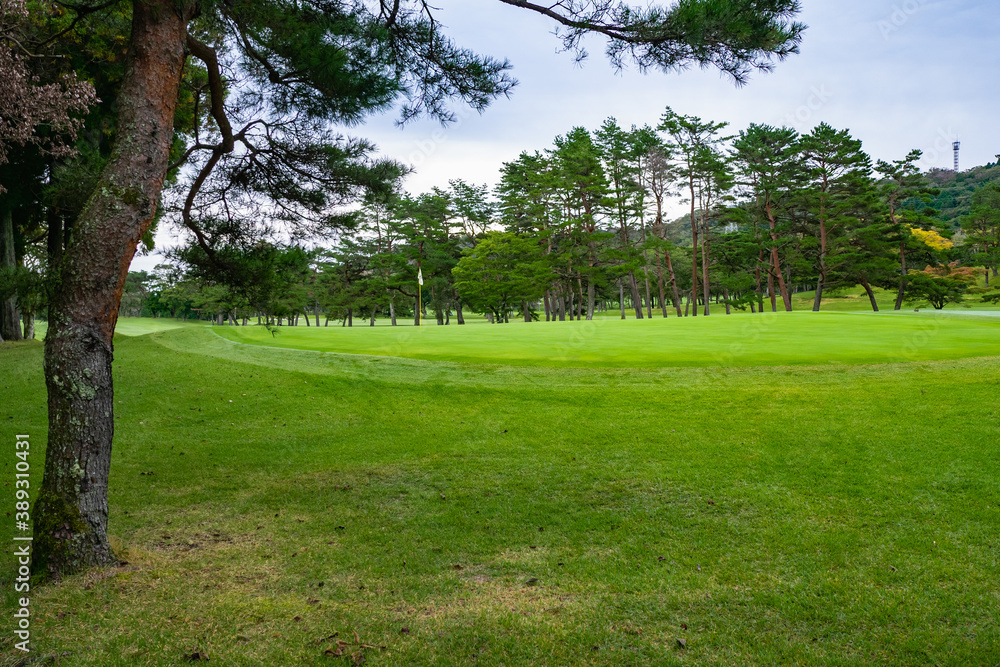 Obraz premium Golf Course with beautiful green field. Golf course with a rich green turf beautiful scenery.