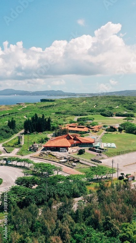 Aerial view of the small village in Okinawa. JAPAN / vertical photo