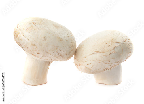 Fresh champignon mushrooms isolated on white background. Organic champignon close up. Side view