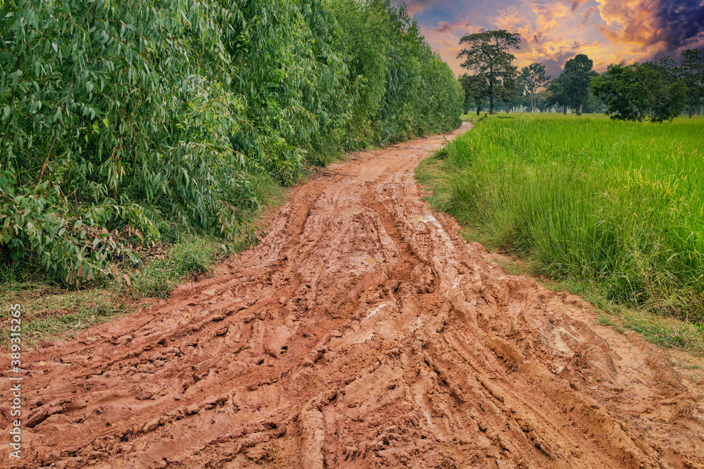 Wheel tracks in the soil. Country road Natural Morning landscape