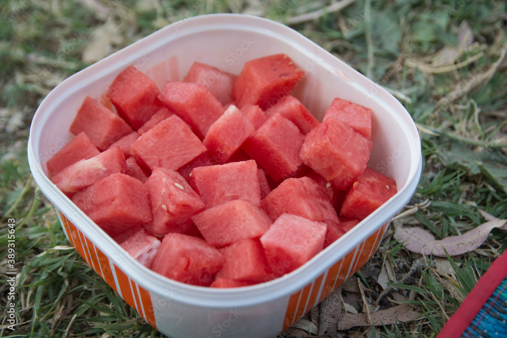 Top view of Watermelon (Citrullus lanatus) fruit cubes, in a plastic container Top view of Watermelon (Citrullus lanatus) fruit cubes, in a plastic container
