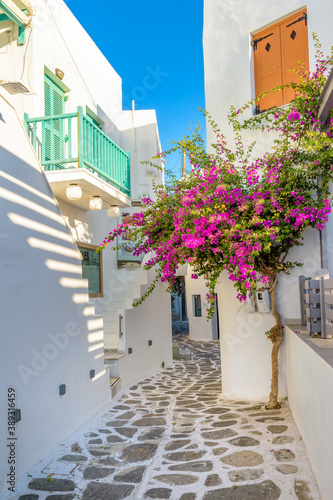 Traditional Cycladitic alley with narrow street, whitewashed houses and a blooming bougainvillea flowers in Naousa Paros island, Greece