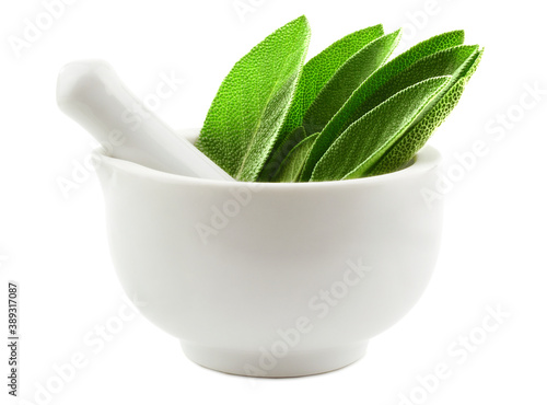 Fresh Sage (Salvia Officinalis) Culinary and Medicinal Herb Leaves in a Grinding Bowl. Isolated on White Background.