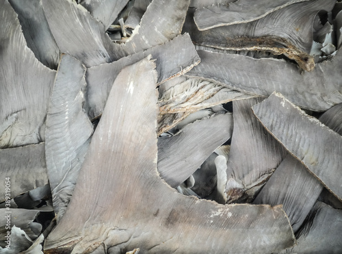 Dried shark fins on sale in a Chinese restaurant. Bangkok, Thailand.