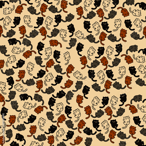 gattini 01