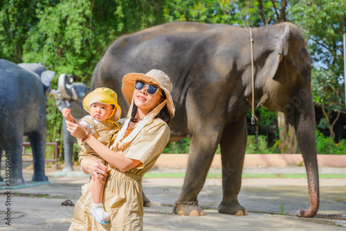 Mom and son feed the elephant at the zoo