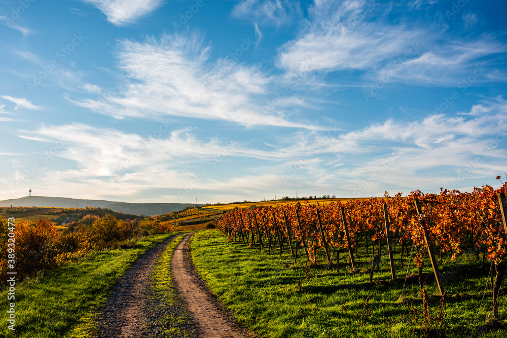 Naklejka premium landscape in autumn