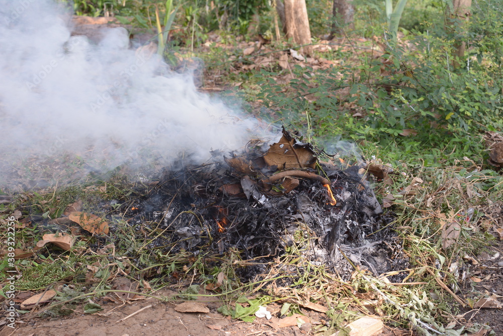 dry grass that burns in nature dry grass that burns in nature