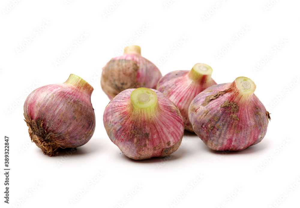 Fototapeta premium fresh garlic on white background.