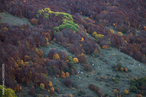 mystic view of mountain forest in autumn