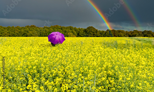 Approaching thunderstorm to the field with flower of rapeseed plants that is ...