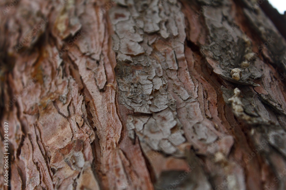 texture texture