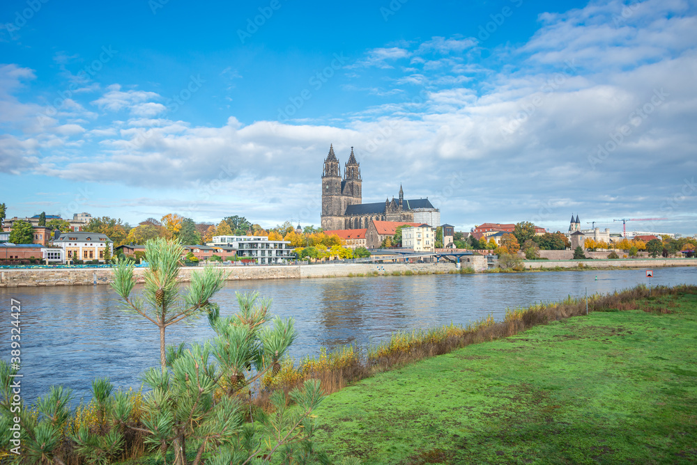 Panoramic view over downtown of Magdeburg, old town, Elbe river, and Magnificent Cathedral at golden Autumn with wild growing spruce, Germany, at sunny day and blue sky.