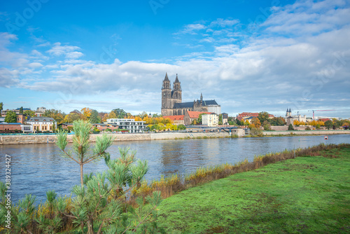 Panoramic view over downtown of Magdeburg  old town  Elbe river  and Magnificent Cathedral at golden Autumn with wild growing spruce  Germany  at sunny day and blue sky.