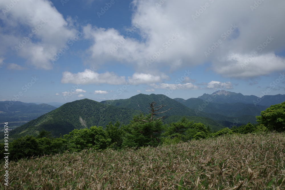 Fototapeta premium 日本の岡山県の蒜山高原の美しい風景