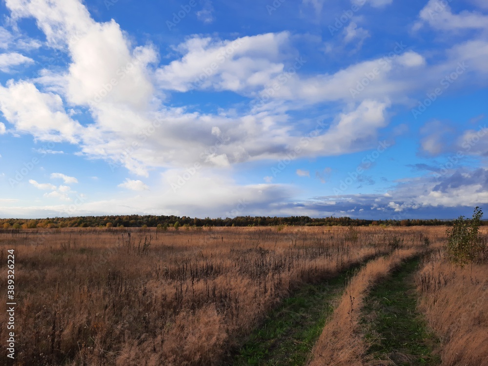 field and sky