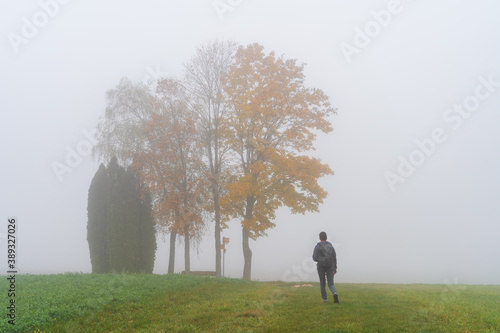Fototapeta Naklejka Na Ścianę i Meble -  Hegau am Bodensee im Herbst und Nebel