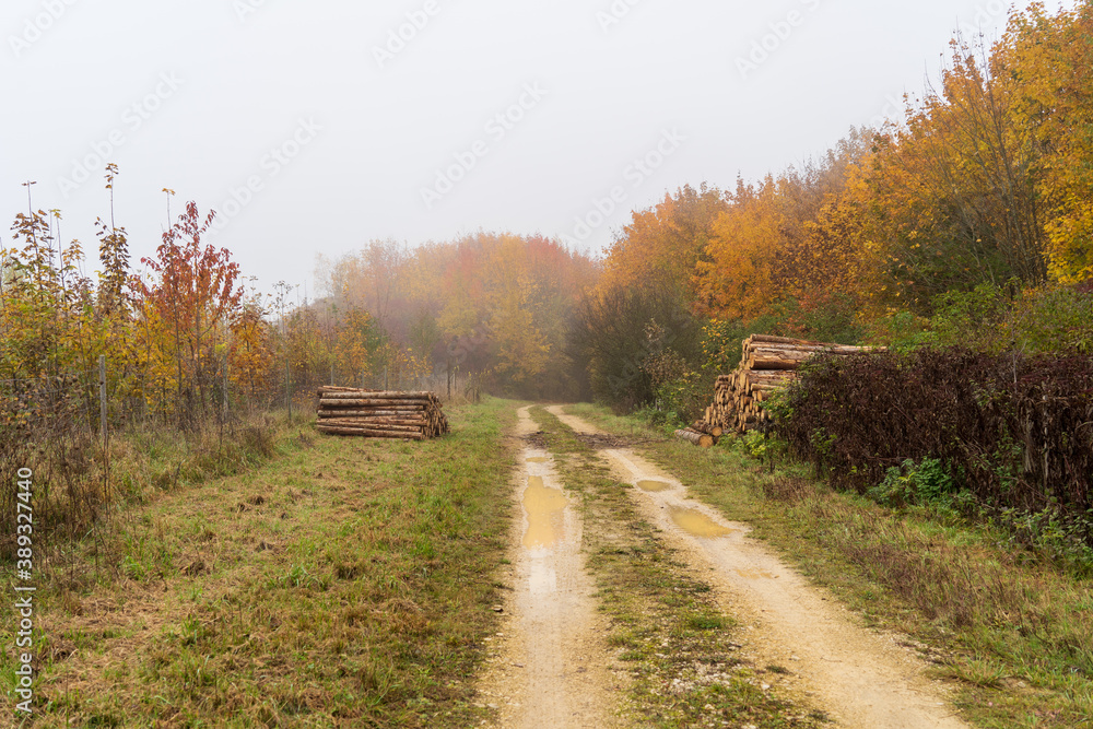 Hegau am Bodensee im Herbst und Nebel