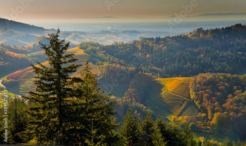 Blick vom Geigerskopfturm in Oberkirch auf die Ortenauer Weinberge photo