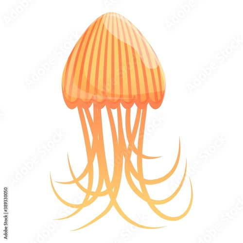 Ocean jellyfish icon. Cartoon of ocean jellyfish vector icon for web design isolated on white background photo