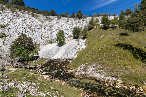 The sources of the Saine from Jura, France photo