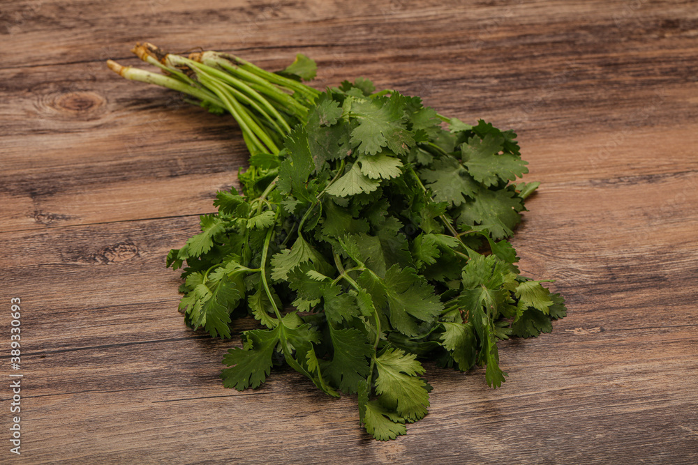 Green coriander or cilanto leaves heap Green coriander or cilanto leaves heap