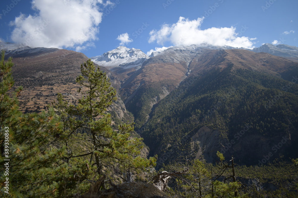 Naklejka premium Mountains