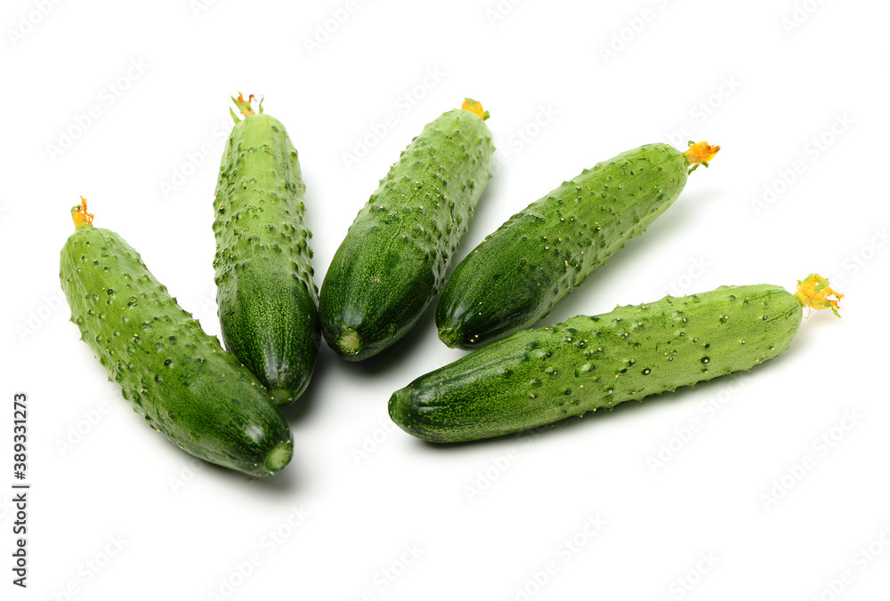 Green cucumber on the white background Green cucumber on the white background