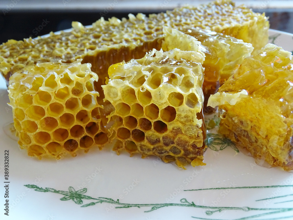 honeycomb with honey cut into small pieces honeycomb with honey cut into small pieces