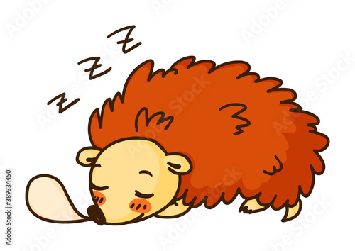 Sleeping hedgehog cute animal isolated on white background