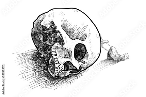 Drawing of a man looking inside a human skull .
