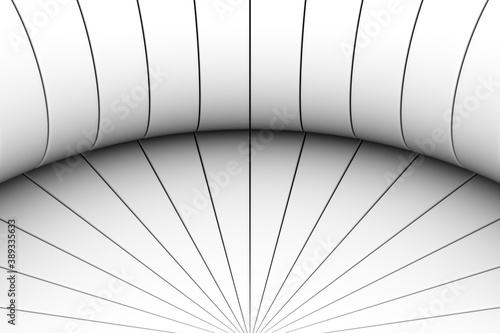 Fototapeta Naklejka Na Ścianę i Meble -  Black and white fan abstract background 3D render illustration