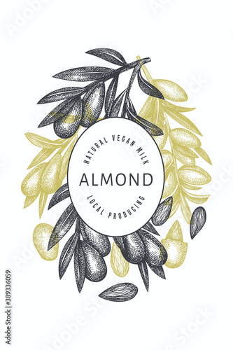 Hand drawn sketch almond design template. Organic food vector illustration. Retro nut illustration. Engraved style botanical background.