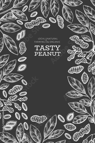 Hand drawn peanut branch and kernels design template. Organic food vector illustration on chalk board. Retro nut illustration. Engraved style botanical picture.