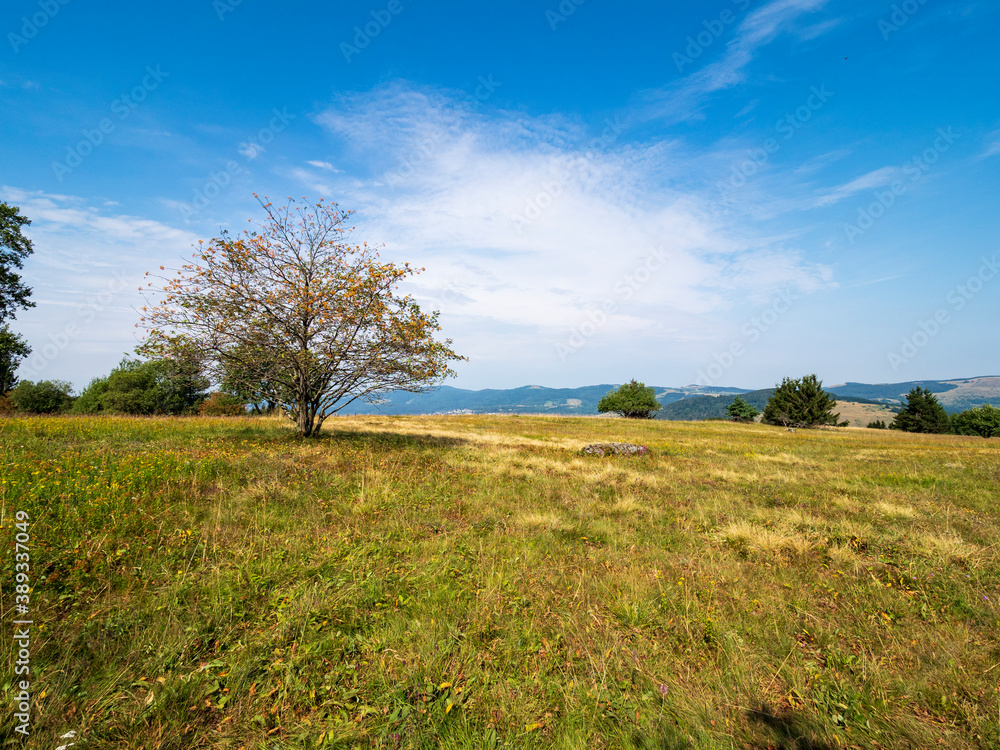 Rhönlandschaft am Kreuzberg - der Heilige Berg der Franken - Biosphärenreservat Rhön, Unterfranken, Franken, Bayern, Deutschland Rhönlandschaft am Kreuzberg - der Heilige Berg der Franken - Biosphärenreservat Rhön, Unterfranken, Franken, Bayern, Deutschland