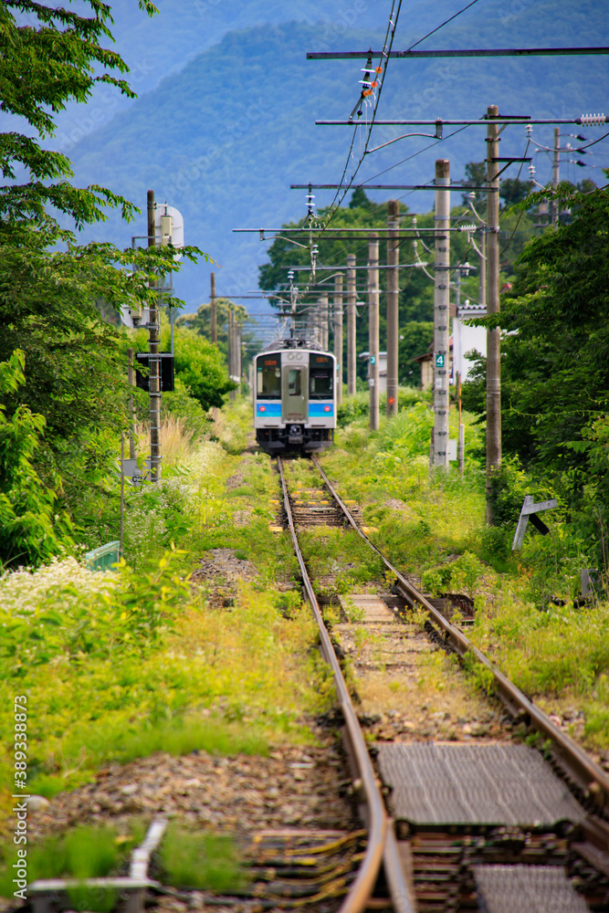 Fototapeta premium 単線を走る電車