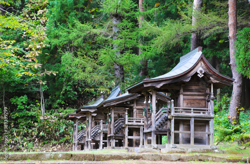 土津神社の森林と祠