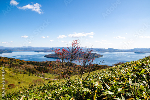 秋の美幌峠 赤い木の実と屈斜路湖（北海道・弟子屈町）