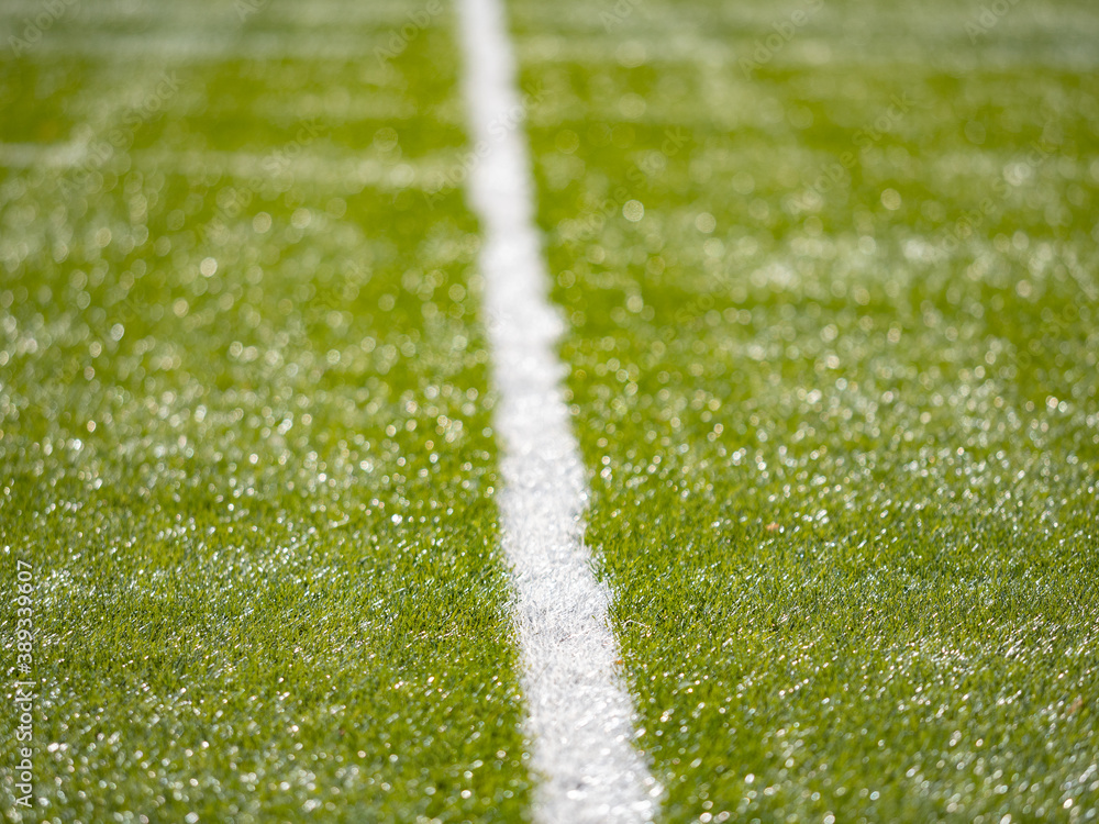 Detailed lines on soccer football field