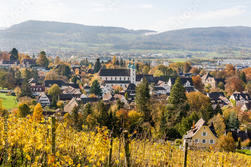 Arlesheim, Dom, Weinberg, Weinrebe, Birstal, Birsebene, Dorf, Aesch, Dornach, Pfeffingen, Laufental, Herbst, Herbstlaub, Baselland, Schweiz photo